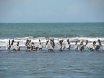 Lodging, Hotel, bed & breakfast, Resort, Accomodation, Punta Duarte beachfront, Panama, Veraguas, Mariato, Torio, Quebro, real estate, lots